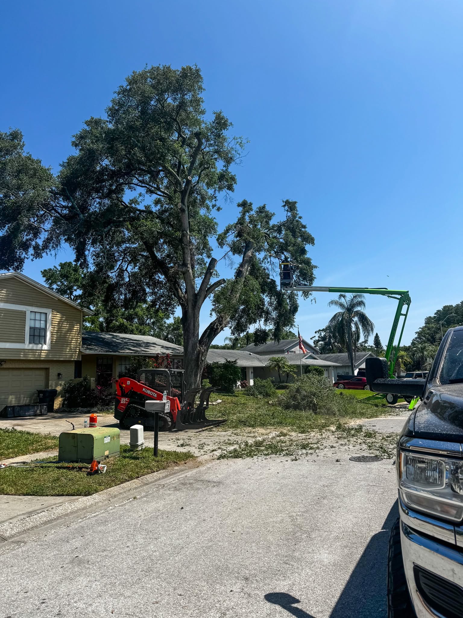 Green bucket truck trimming a large residential oak with a Kubota skid steer on the lawn